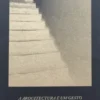 A Arquitectura é um Gesto - Variações sobre um Motivo Wittgensteiniano