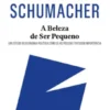 A Beleza de Ser Pequeno - Um estudo de economia política como se as pessoas tivessem importância