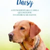 A Dádiva de Daisy