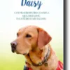 A Dádiva de Daisy