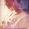 A Febre das Tulipas