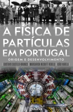 A Física de Partículas em Portugal