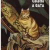 A Gata