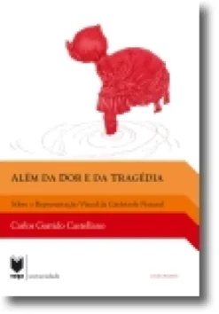 Além da Dor e da Tragédia: sobre a representação visual da catástrofe natural