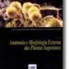 Anatomia e Morfologia Externa das Plantas Superiores
