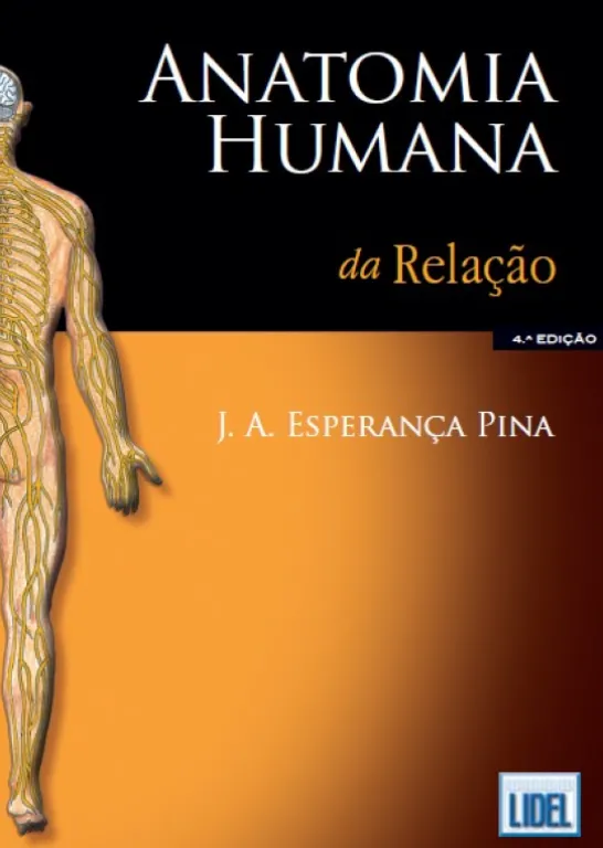 Anatomia Humana da Relação