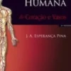 Anatomia Humana do Coração