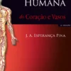 Anatomia Humana do Coração e Vasos