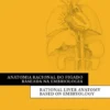 Anatomia Racional do Fígado Baseada na Embriologia