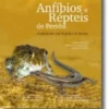 Anfíbios e Répteis de Pemba