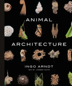 Animal Architecture