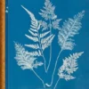 Anna Atkins - Cyanotypes - Edition Multilingue