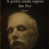 A Pedra ainda Espera Dar Flor - Dispersos