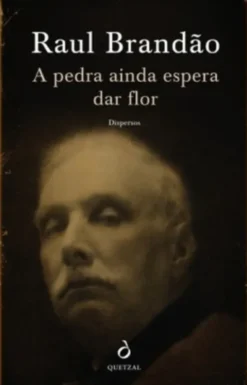 A Pedra ainda Espera Dar Flor - Dispersos