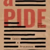 A PIDE – Casos e Processos