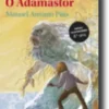 Aquilo Que os Olhos Veem ou O Adamastor