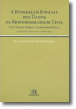 A Reparação Judicial dos Danos na Responsabilidade Civil (Um Olhar Sobre a Jurisprudência)