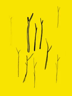 Arquivos de Bouça Fria