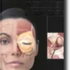 Atlas de Anatomia e Preenchimento Global da Face