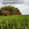 Avieiros, hoje