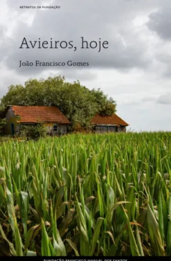 Avieiros, hoje