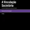 A Vinculação Societária - A Estrutura Piramidal da Vinculação das Sociedades - 2ª Edição