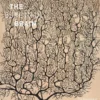 Beautiful Brain