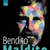Bendito Maldito - Uma Biografia De Plínio Marcos