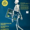 Build Your Own Human Skeleton – Life Size!