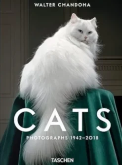 Cats - Photographs (1942-2018)