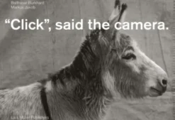 Click, Said the Camera