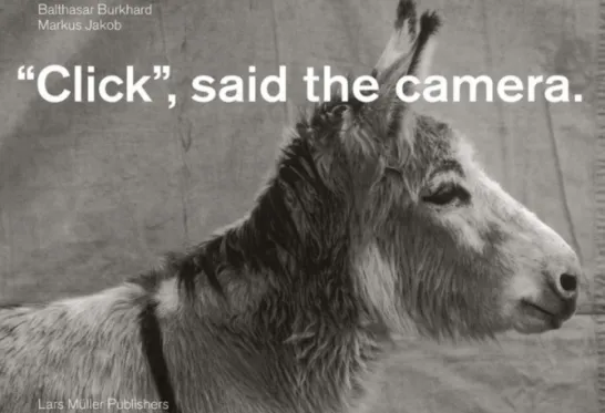 Click, Said the Camera