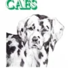 Como Desenhar Cães
