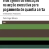 Competências do juiz e do agente de execução na acção executiva para pagamento de quantia certa