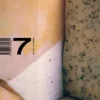 Contemporânea #7
