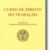 Curso de Direito do Trabalho - I Volume (Introdução, Quadros Organizacionais e Fontes)