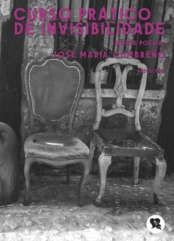 Curso Prático de Invisibilidade - Quase poesia