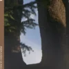 Das Mesmas Fontes