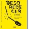 Desobedecer à Praxe