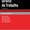 Direito do Trabalho - Relação Individual - 2ª Edição