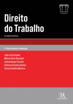 Direito do Trabalho - Relação Individual - 2ª Edição