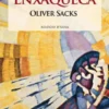Enxaqueca