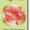 Frei Luís de Sousa