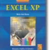 Fundamental do Excel XP