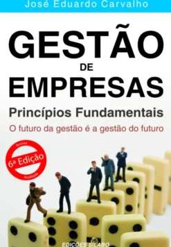 Gestão de Empresas - Princípios Fundamentais