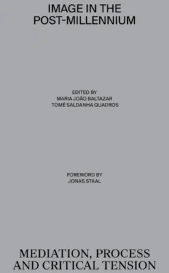 Image in the Post-Millennium - Mediation, Process and Critical Tension