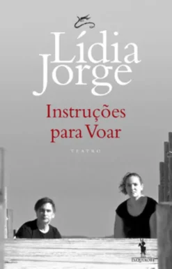 Instruções para Voar