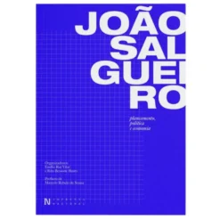 João Salgueiro - Planeamento, Política e Economia