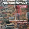 Lições de Perturbações do Cumprimento na "CISG"