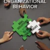 Managing Organizational Behavior: Real Solutions to Real Challenges